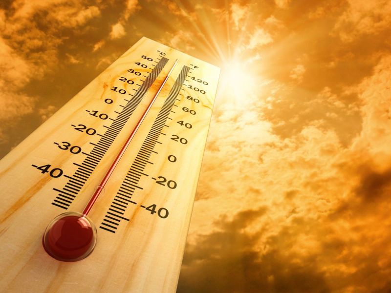 SUMMERTIME TIPS FOR COLLECTORS