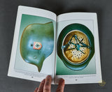 SS Helmets: A Collector's Guide, Vol. II Paperback by Kelly Hicks