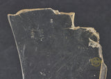 Section of Plexiglass from German Fighter Plane