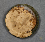 German WWII Driving Qualification Badge in Bronze