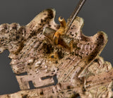 German WWII Infantry Assault Badge in Silver