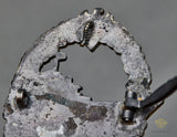 Veteran Bring Back German WWII Kriegsmarine Destroyer Badge