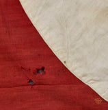 NSDAP Party Banner
