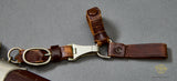 German WWII Ground Röhm SA Dagger by F Dick***STILL AVAILABLE***