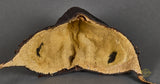 WWII German Luftwaffe LKpW101 Flyers Helmet