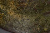 WWII German Model 1940 Wehrmacht Camouflage Helmet