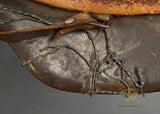 WWII German Army Model 1942 Single Decal Helmet with Full Basket Chicken Wire