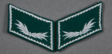 German WWII Customs Official Collar Tab Set