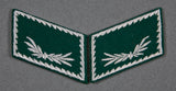 German WWII Customs Official Collar Tab Set