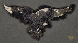 German WWII Luftwaffe Breast Eagle