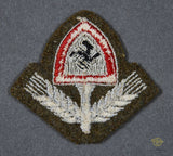 German WWII Labor Korps Cap Insignia
