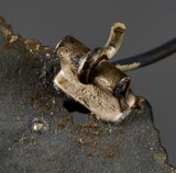 Veteran Bring Back WWII German Luftwaffe Ground Assault Badge