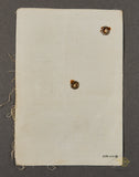 German WWII Deutsche Reich ID Card