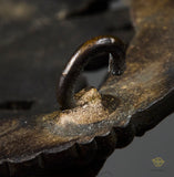 German WWII Luftwaffe Observers Badge by Paul Maybauer
