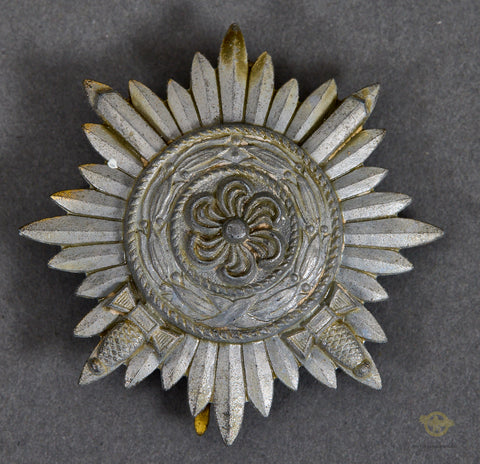 Veteran Bring Back German WWII Eastern People’s Award-