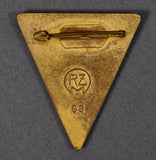 WWII German Large Size NSF Enamel Pin