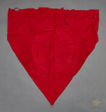 German WWII NSDAP Pennant