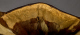 WWII German Luftwaffe LKpW101 Flyers Helmet