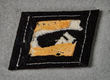 Veteran Bring Back 13th Waffen Mountain Division SS "Handschar"