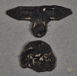 Waffen SS M43 Side Cap Removed Insignia Set