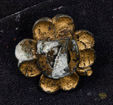 WWII German Kriegsmarine Side Cap with Device