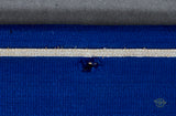Third Reich TeNo Leader of an Ortsgruppe Vehicle Pennant