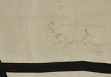 German Early DLV Flag