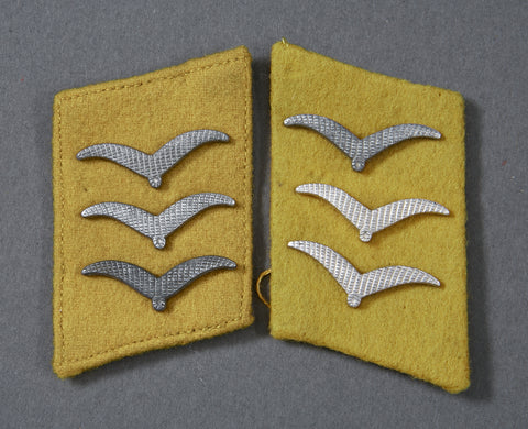 ﻿German Luftwaffe Collar Tab Set