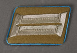 German WWII Single Political Leader Collar Tab