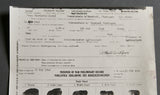 German WWII Preliminary Record for POW Report for Richard Walter Darre