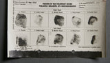 German WWII Preliminary Record for POW Report for Karl Scherleitner