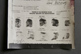 German WWII Preliminary Record for POW Report for Albert Kesselring