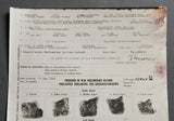 German WWII Preliminary Record for POW Report for Otto Meissner