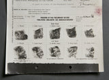 German WWII Preliminary Record for POW Report for Otto Meissner